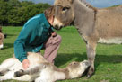 ....oooh I do love a tummy rub - even if I end up on the floor