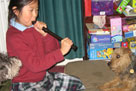 I don't know who said 'music soothes the savage beasts' but I don't think they meant the recorder!